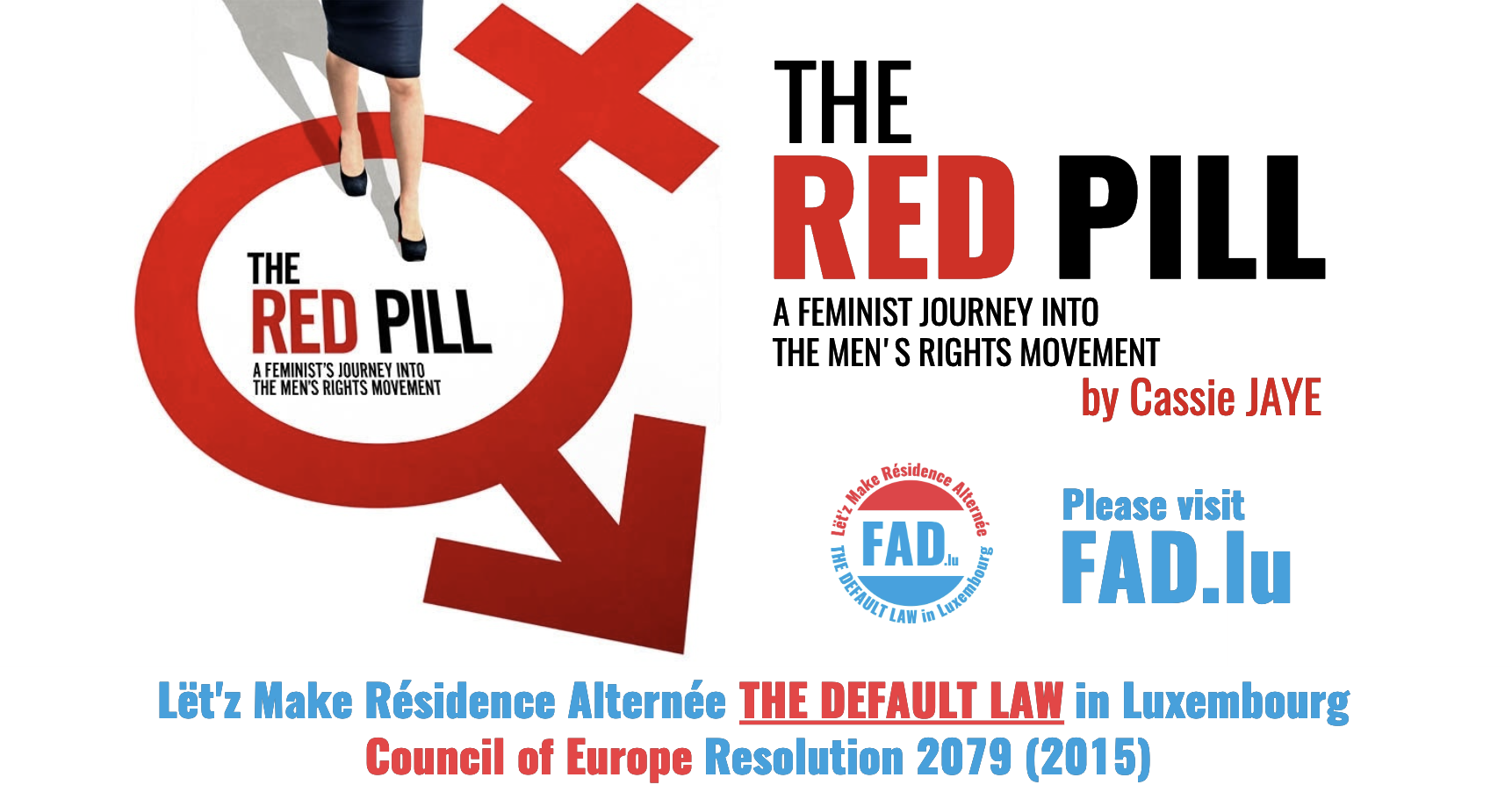 The Red Pill A Feminists Journey Into The Mens Rights Movement Documentary By Cassie