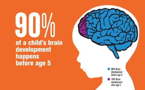 children-brain-development-sensitive-periods-1024x627